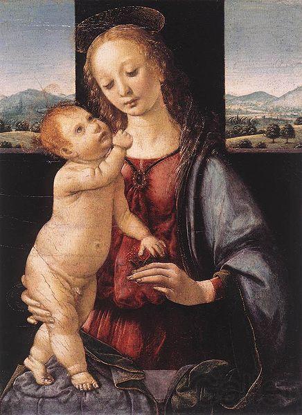 LORENZO DI CREDI Madonna and Child with a Pomegranate France oil painting art